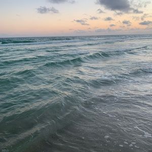 Meet your Posher, Marie